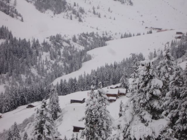 20070309 Hippach 009.jpg